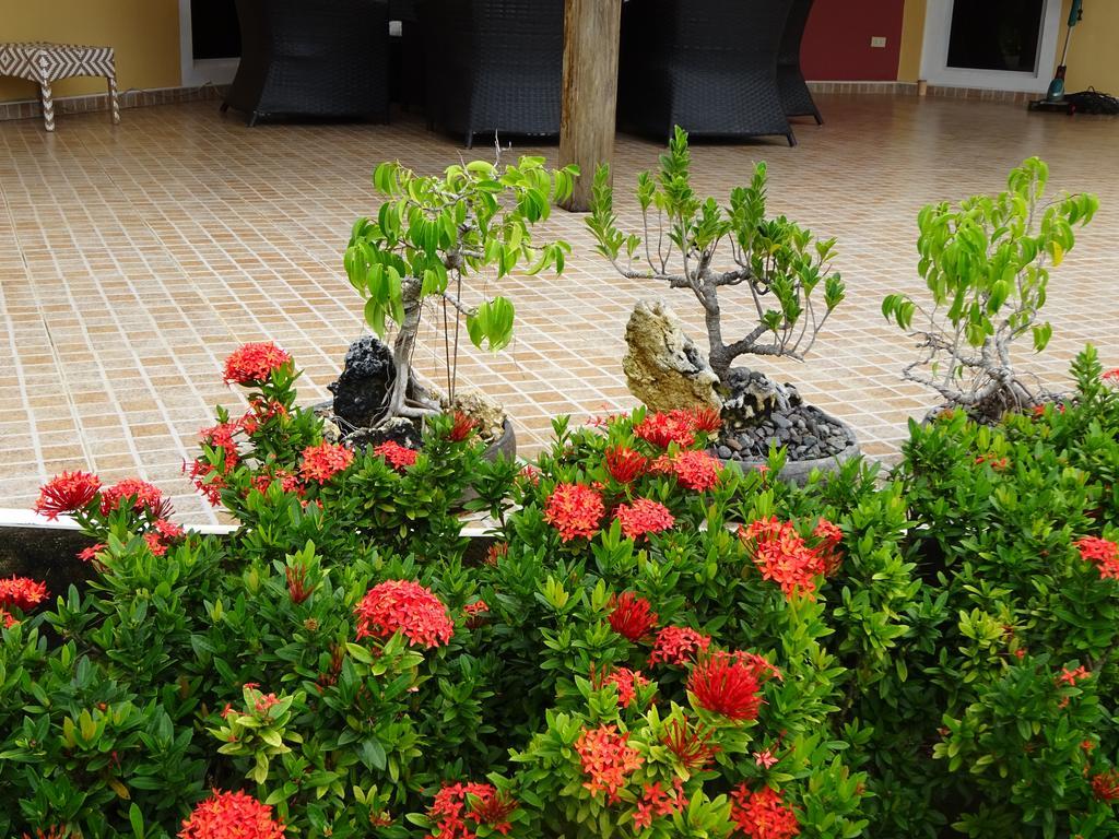 Bohol Sunside Resort Panglao Exterior foto